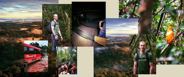 Collection of pictures from Suriname