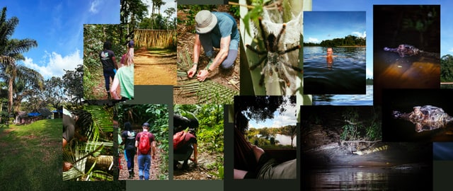 Collection of pictures from Suriname
