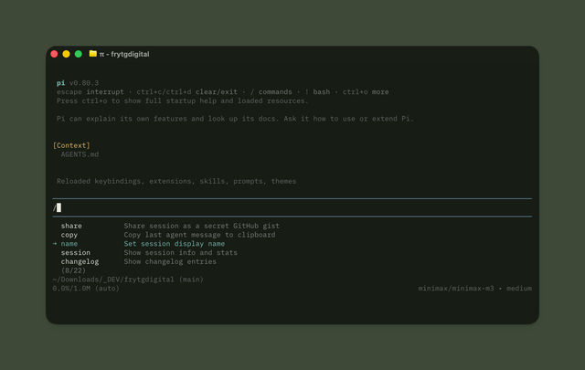 pi terminal coding agent