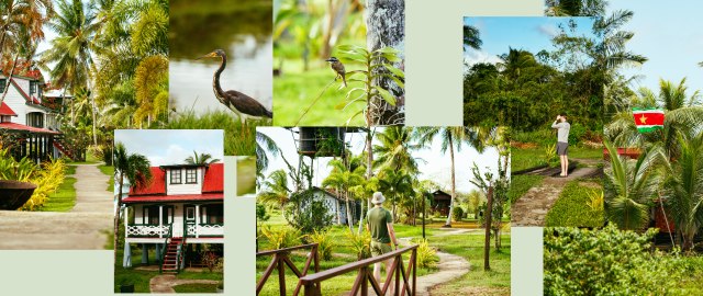 Collection of pictures from Suriname
