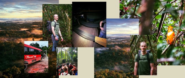 Collection of pictures from Suriname
